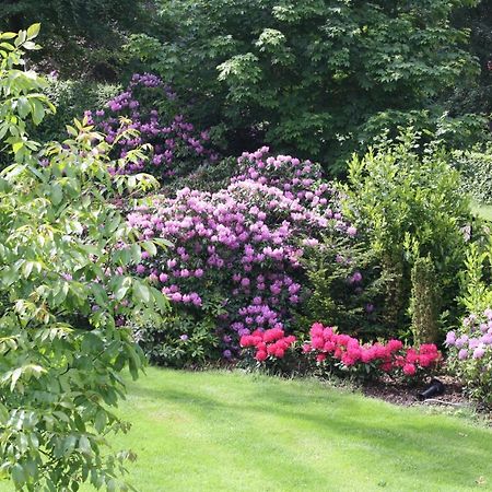 Bed & Breakfast Op 'T Leven Ermelo Bagian luar foto